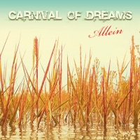 Allein