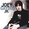 She Never Loved Me - Joey Gaydos Jr. lyrics