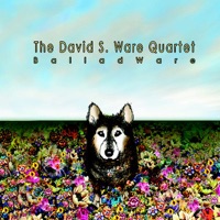 BalladWare - David S. Ware
