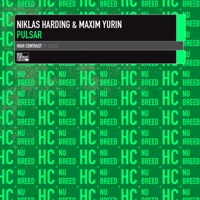 Pulsar - Single - Niklas Harding & Maxim Yurin
