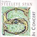 Steeleye Span-Shaking Of The Sheets