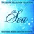 Andante String Quartet In D Major (feat. Michael Ludwig)