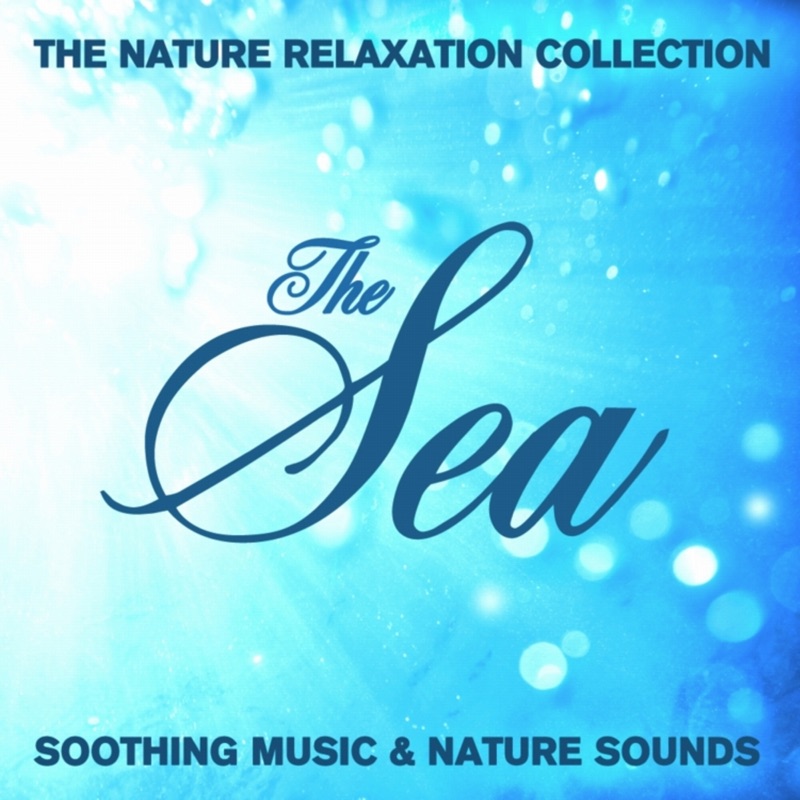 Andante String Quartet In D Major (feat. Michael Ludwig)