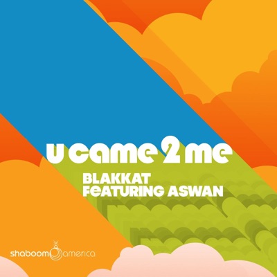 U Came to Me (Original Mix) - Single (Blakkat Affiliated Mix)