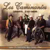 Los Caminantes - Tu Mirada