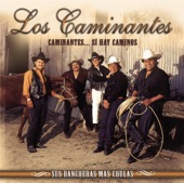 Los Caminantes - Tu Mirada