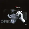 It Shouldn't Happen To A Dream