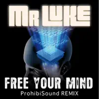 Free Your Mind (Prohibisound Remix) — MR Luke