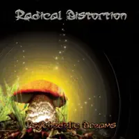 The Dreamer (Orient Mix) — Radical Distortion