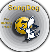 Karaoke Hits: Greatest Hits Vol. 15 (Britney Spears)