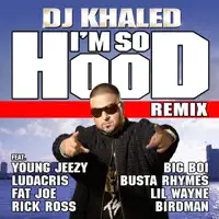 I'm So Hood (feat. Young Jeezy, Ludacris, Busta Rhymes, Big Boi, Lil Wayne, Fat Joe, Birdman & Rick Ross) [Remix]