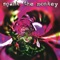 Insolence - Spank The Monkey lyrics