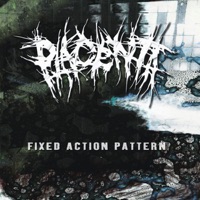 Fixed Action Pattern - Placenta