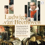String Quartet No. 15 in A Minor, op.132:V. Allegro appassionato (Heiliger Dankgesang)