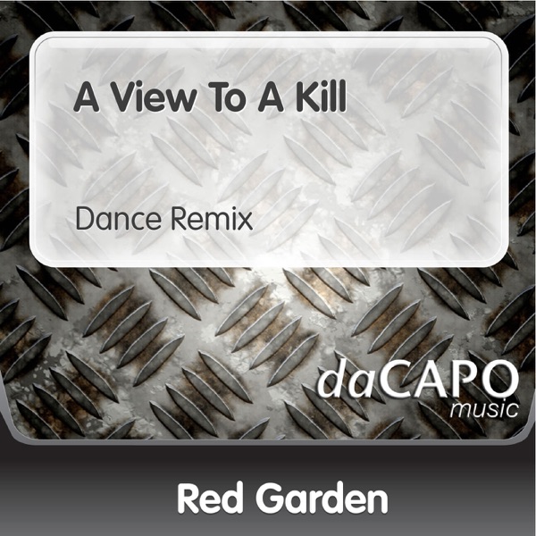 A View to a Kill - Single