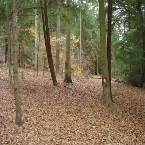 Techno . In . Motion . - T.I.M. @ Move Wednesdays