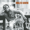 Bye Bye Blackbird - Miles Davis