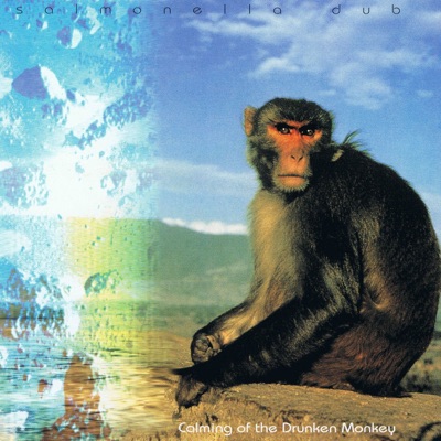 Salmonella Dub - Suicidal Patterns (Rotor Put It In Your Head Mix)