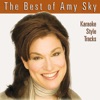 The Best of Amy Sky Karaoke Style Tracks