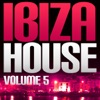 Ibiza House, Vol. 5