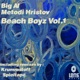 Beach Boyz Remixes Vol 1 EP