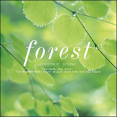 Forest~森 - アイソトニック・サウンド・シリーズ