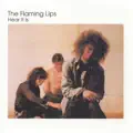 The Flaming Lips