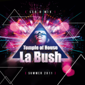 La Bush Temple of House (Summer 2011 Mix By Seb B) - Seb B