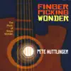 Pete Huttlinger - You Are the Sunshine of My Life