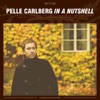 Pelle Carlberg - Why Do Today What You Can Put Off Until Tomorrow?