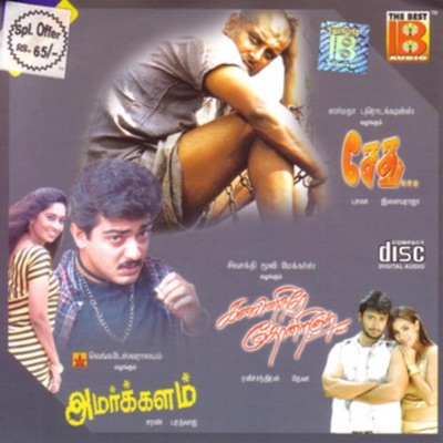 P. Unnikrishnan - Nenachu Nenachu (From Sethu)