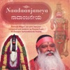 Naadaanjaneya