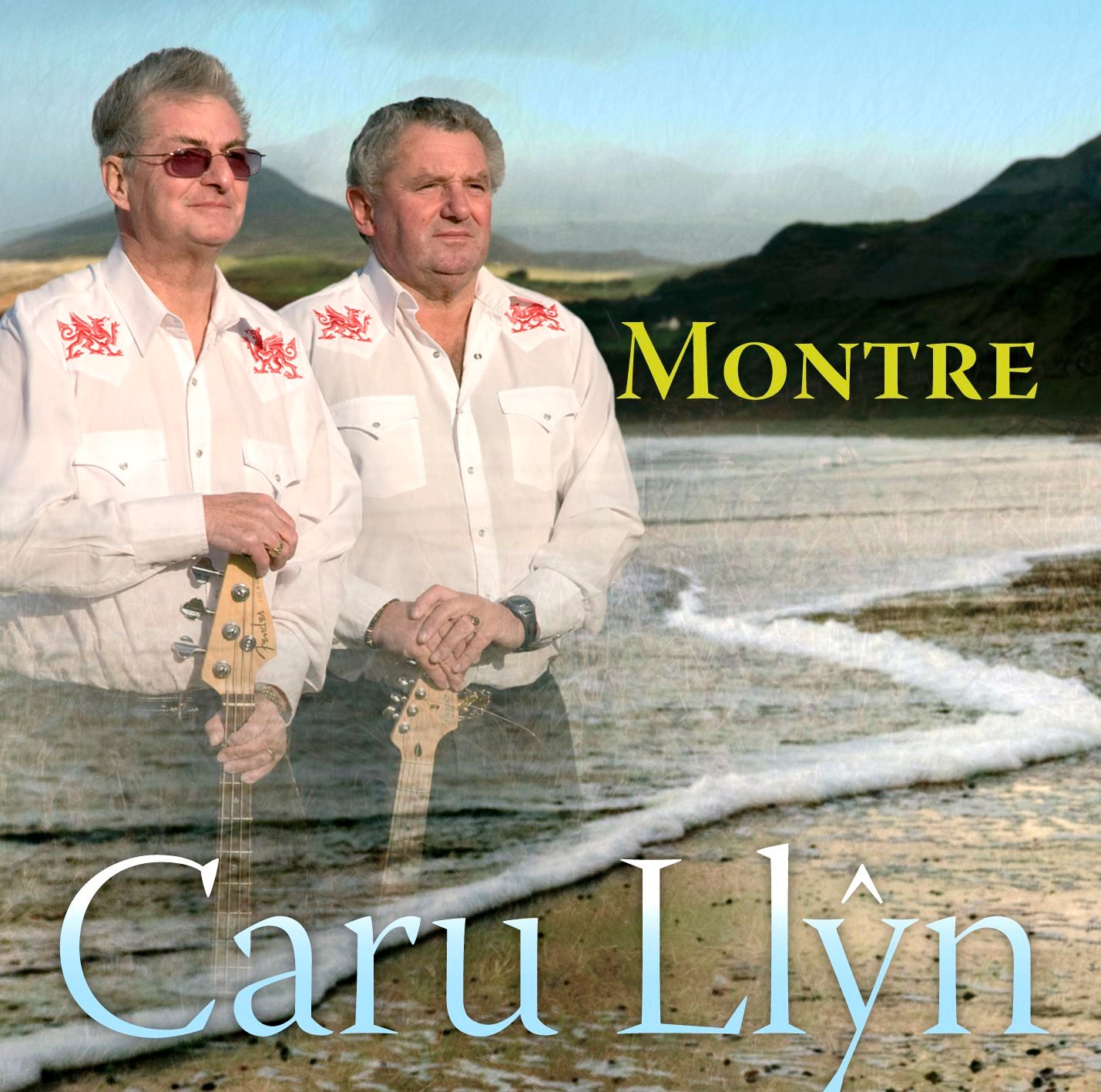 Caru Llŷn