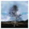 Things We Do (Nicola Conte Deep Jazz Rework) - Nils Krogh lyrics