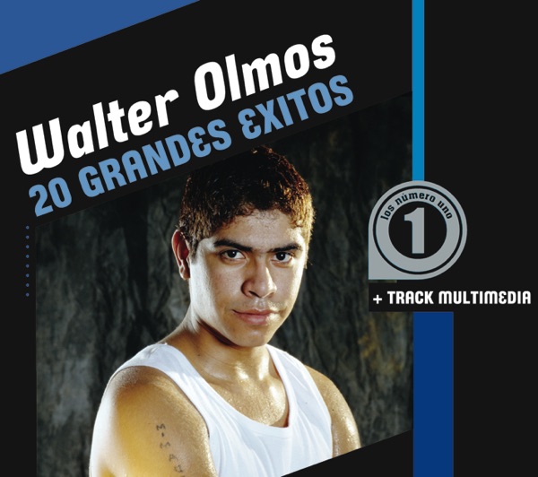 Walter Olmos: 20 Grandes Éxitos artwork