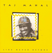 Like Never Before - Taj Mahal