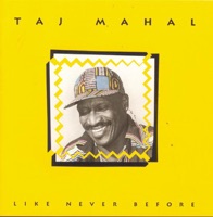 Like Never Before - Taj Mahal
