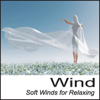 Wind: Soft Winds for Relaxing Nature Sounds Wind Sounds of Wind - Nature Sounds Artists
