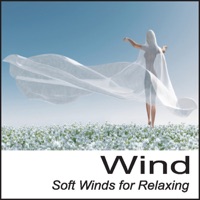 Wind: Soft Winds for Relaxing Nature Sounds Wind Sounds of Wind - Nature Sounds Artists