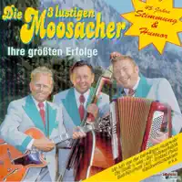 Schunkelkarussell