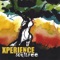 I'm Free (feat. Macklemore) - Xperience lyrics