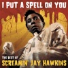 Screamin' Jay Hawkins