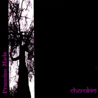 World Bizarre — Pronoian Made