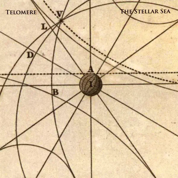 The Shimmering Sea — Telomere