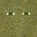 Flying Lotus