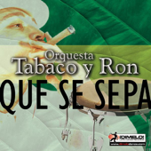 Sonea Mi Son