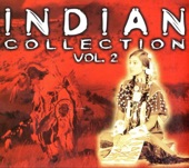 Indian Collection, Vol. 2, 2008