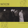 M&M's the Work - The Moleni Brothers