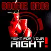Fight for Your Right (DJ Anady vs. Sander Remix)