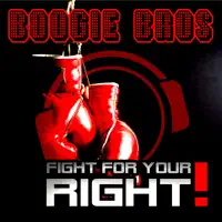 Fight for Your Right (DJ Anady vs. Sander Remix)